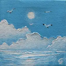 vide
